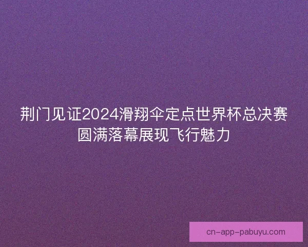荆门见证2024滑翔伞定点世界杯总决赛圆满落幕展现飞行魅力